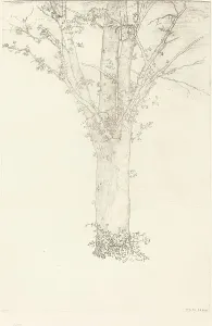 Lithographic Prints France Prints: Arbre (Tree), 1892. Creator: Odilon Redon