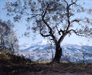 The Area around Menton, close to Roquebrune, 1892. Artist: Emmanuel Lansyer The Area around Menton, close to Roquebrune, 1892. Artist: Emmanuel Lansyer