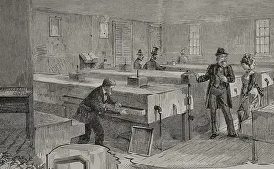 Black And White Bird Images Prints: Artificial hatching of hen eggs by the Baker method