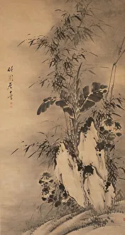 Chinese Heritage Images Prints: Bamboo. Creator: Unknown