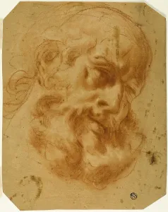 Red Chalk Drawings Italy Prints: Bearded Head, n.d. Creator: Unknown