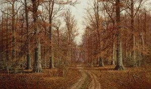 Print of a Beech Tree Landscape