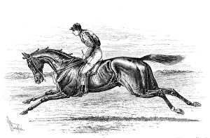 British Sports History Prints: Bend Or, the winner of the Derby, 1880. Creator: Unknown