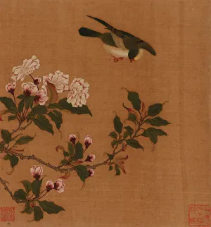 Qing Dynasty Bird Print, 18th Century