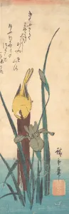 Japanese Ukiyo-e Woodblock Print of Bird and Iris