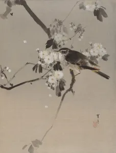 Birds on a Flowering Branch, ca. 1887. Creator: Watanabe Seitei Birds on a Flowering Branch, ca. 1887. Creator: Watanabe Seitei