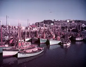 Colourful Boats In Harbour Prints: Boats in Brixham Harbour, Devon, c1955. Creator: Arthur Charles Kirby Ware