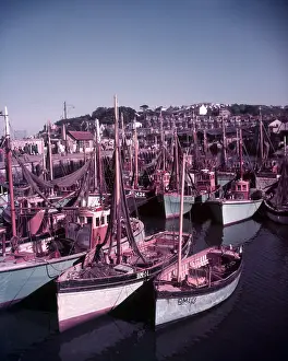 Arthur Charles Kirby Ware Images Prints: Boats in Brixham Harbour, Devon, c1955. Creator: Arthur Charles Kirby Ware