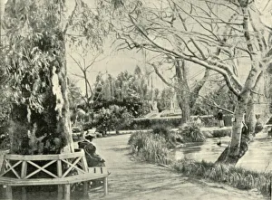 In the Botanic Gardens, Adelaide Print, 1901
