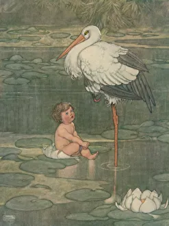 W Heath Robinson Print, The Bud Opened Into A Full-Blown Flower, 1930
