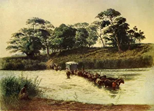 Victorian Era Transportation Prints: Bullock Waggon Crossing a Drift on the Umbelois River-Swaziland