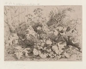 Burdock in Bloom, 1858 Print by Eugene Blery