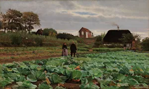 Finnish National Gallery Artwork Prints: Cabbage patch, 1870-1917. Creator: Hans Smidth