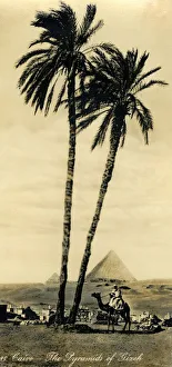 Ancient Egyptian Pyramids Prints: Cairo - The Pyramids of Girzeh, c1918-c1939. Creator: Unknown