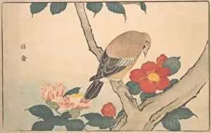 Camellias with a Bird, 1789. Creator: Kitao Masayoshi Camellias with a Bird, 1789. Creator: Kitao Masayoshi