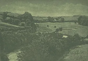 Theodor Hofmeister, Meadow-brook Print, 1904