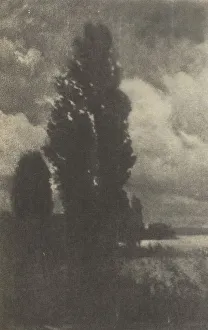 Poplars and Clouds Print, 1906