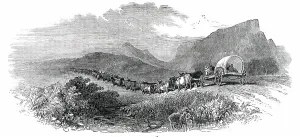 Cape Waggon, 1850 Print