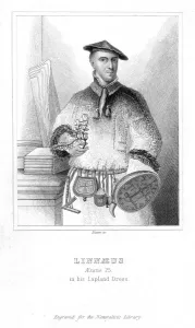 Carolus Linnaeus, Swedish naturalist, 1732 (early 19th century) Carolus Linnaeus, Swedish naturalist, 1732 (early 19th century)