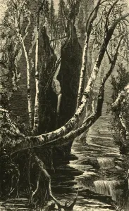 William Cullen Bryant Literature Prints: Cavern Cascade, below Mountain House, 1872. Creator: J. G. Smithwick