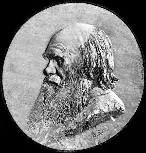 Charles Darwin Portrait Prints: Charles Darwin, 1882
