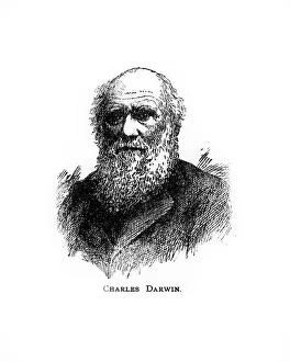 Charles Darwin, 19th century British naturalist, (20th century) Charles Darwin, 19th century British naturalist, (20th century)