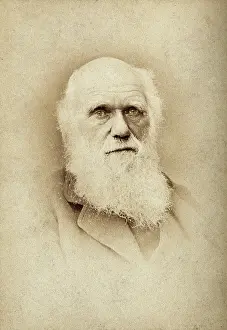 British Naturalist Prints: Charles Robert Darwin. Creator: Barraud