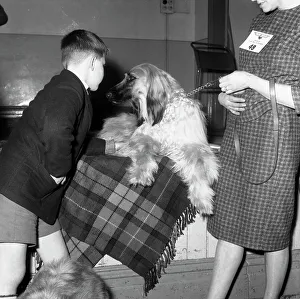 Child with an Afghan Hound at a dog show in Horden, County Durham, 1963. Artist Child with an Afghan Hound at a dog show in Horden, County Durham, 1963. Artist