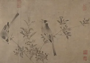 Chinese Bulbuls on Flowering Cherry-Apple. Creator: Unknown Chinese Bulbuls on Flowering Cherry-Apple. Creator: Unknown