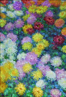 Claude Monet Landscape Paintings Prints: Chrysanthemums, 1897