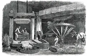 Black And White Farm Scenes Prints: Cider-Making in Devonshire - Pound-House - the Mill and Press - Piling The Mock