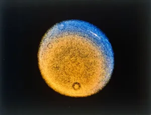 Space Travel Photography Prints: Clouds in the upper atmosphere of Uranus, from Voyager 2, c1986. Creator: NASA
