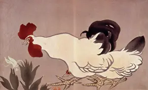 Heritage Art Japan Prints: A cockerel. Creator: Anon