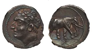 Coin of Hannibal Barca. Carthage. (Obverse: Hannibal, Reverse: Elephant), ca. 213-210 BC Coin of Hannibal Barca. Carthage. (Obverse: Hannibal, Reverse: Elephant), ca. 213-210 BC