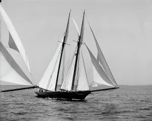 Black And White Sailboats Prints: Constellation, 1900 Aug 10. Creator: Unknown