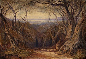 Romantic Era Watercolour Prints: Corfu, 1871. Creator: Edward Lear