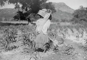 The Cornfield, c1906 Print: Apache Woman Hoeing with Infant
