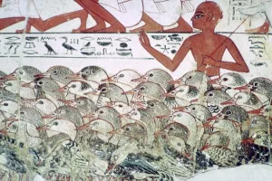 Counting the geese: fragment of wall painting from the tomb of Nebamun, Thebes, Egypt, c1350 BC Counting the geese: fragment of wall painting from the tomb of Nebamun, Thebes, Egypt, c1350 BC