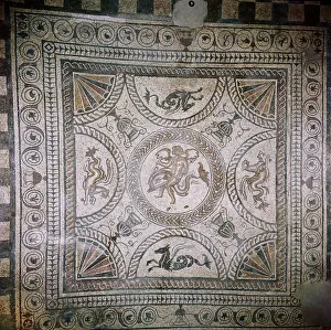 Cupid on Dolphin mosaic, Fishbourne Roman Villa, Sussex Cupid on Dolphin mosaic, Fishbourne Roman Villa, Sussex