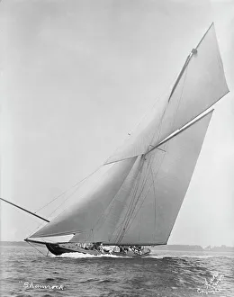 Prints of The cutter Shamrock beating upwind. Shamrock, designed by William Fife, was Sir Thomas Liptons first (1899) challenger to the Americas Cup Isle Of Wight Prints: The Cutter Shamrock Beating Upwind Print