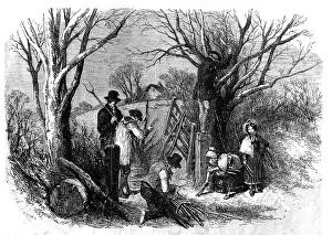 Cutting the Ashen Fagots; Devonshire, 1854 Print