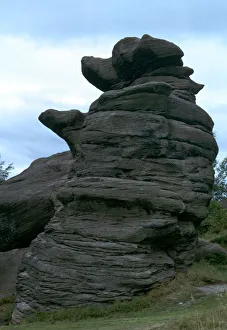Brimham Rocks Prints: The Dancing Bear, Brimham Rocks