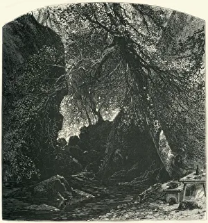 Cassell Petter Galpin Engravings Prints: The Dargle, c1870
