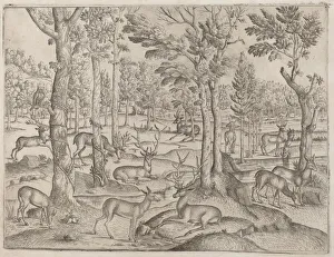Forest Wildlife Images Prints: Deer in the Forest, c. 1520. Creator: Unknown