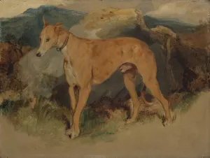 A Deerhound, 1826. Creator: Edwin Henry Landseer A Deerhound, 1826. Creator: Edwin Henry Landseer
