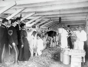 Milk Testing Demonstration Print, Hampton Institute, 1899-1900