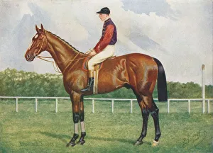 British Thoroughbred Horses Prints: Diamond Jubilee, c1905 (c1910). Artist: Henry Powell Palfrey