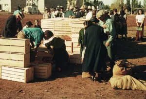 Distributing Surplus Commodities Print, St. Johns, Arizona 1940