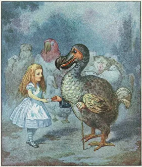 Allegory Literature Images Prints: The Dodo solemnly presented the thimble.. 1911. Creator: Tenniel, Sir John (1820-1914)