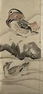 Chinese Heritage Images Prints: Two ducks in a landscape, (unknown date). Creator: Unknown